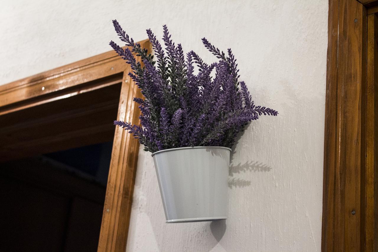 Kuca Lavanda Dreznjak 外观 照片