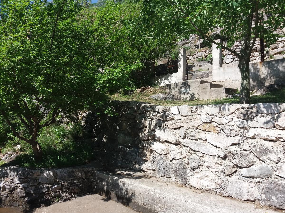 Kuca Lavanda Dreznjak 外观 照片