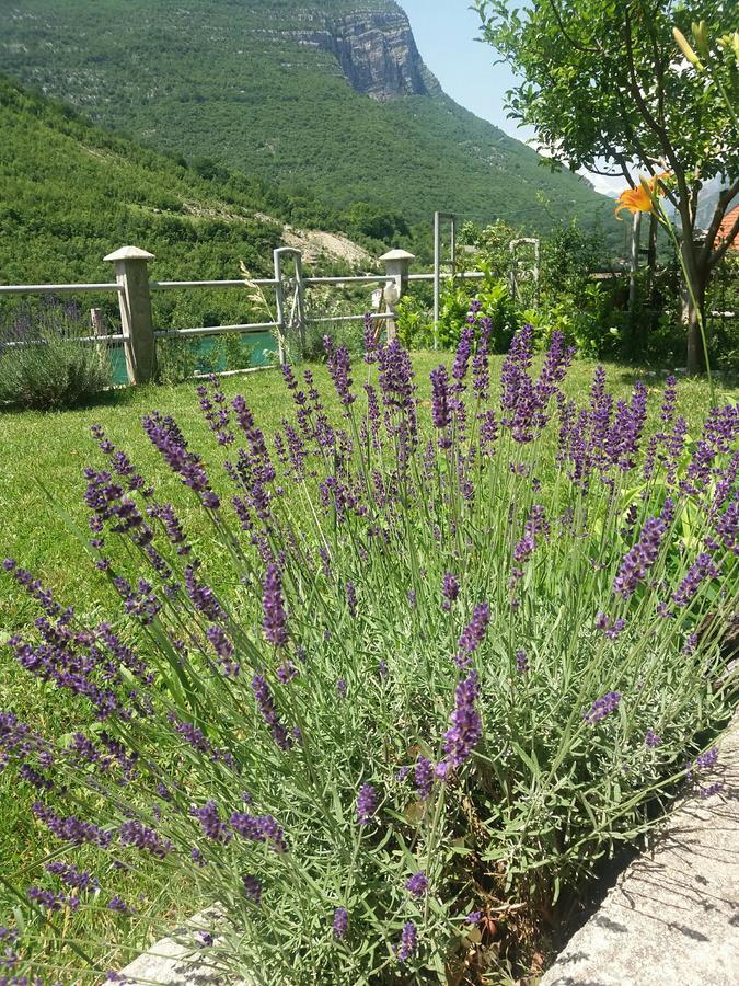 Kuca Lavanda Dreznjak 外观 照片
