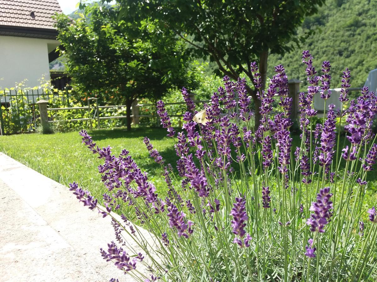 Kuca Lavanda Dreznjak 外观 照片